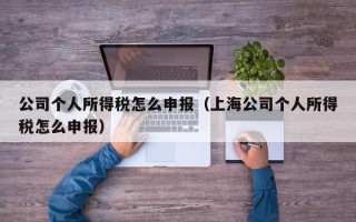 公司个人所得税怎么申报（上海公司个人所得税怎么申报）