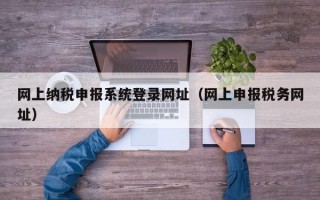 网上纳税申报系统登录网址（网上申报税务网址）