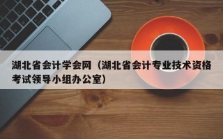 湖北省会计学会网（湖北省会计专业技术资格考试领导小组办公室）