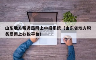 山东地方税务局网上申报系统（山东省地方税务局网上办税平台）