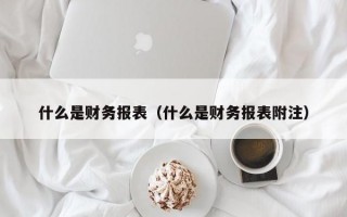 什么是财务报表（什么是财务报表附注）