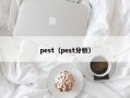 pest（pest分析）