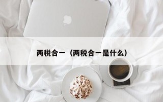 两税合一（两税合一是什么）