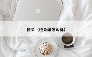 税负（税负率怎么算）