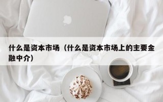 什么是资本市场（什么是资本市场上的主要金融中介）