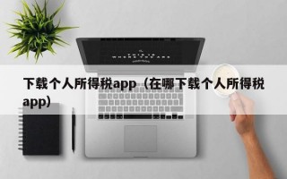 下载个人所得税app（在哪下载个人所得税app）