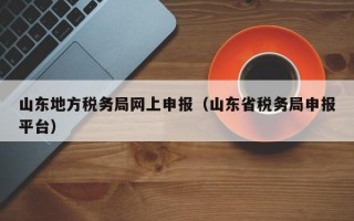 山东地方税务局网上申报（山东省税务局申报平台）