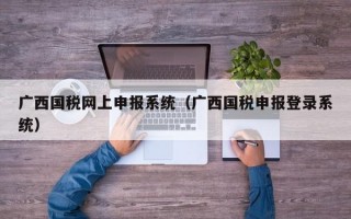 广西国税网上申报系统（广西国税申报登录系统）