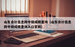 山东会计信息网中级成绩查询（山东会计信息网中级成绩查询入口官网）